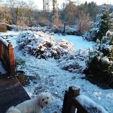 Сasa de vacaciones Barvaux Met Grote Tuin Durbuy
